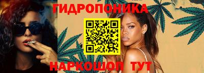 гашик Новокубанск