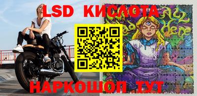 гашик Новокубанск