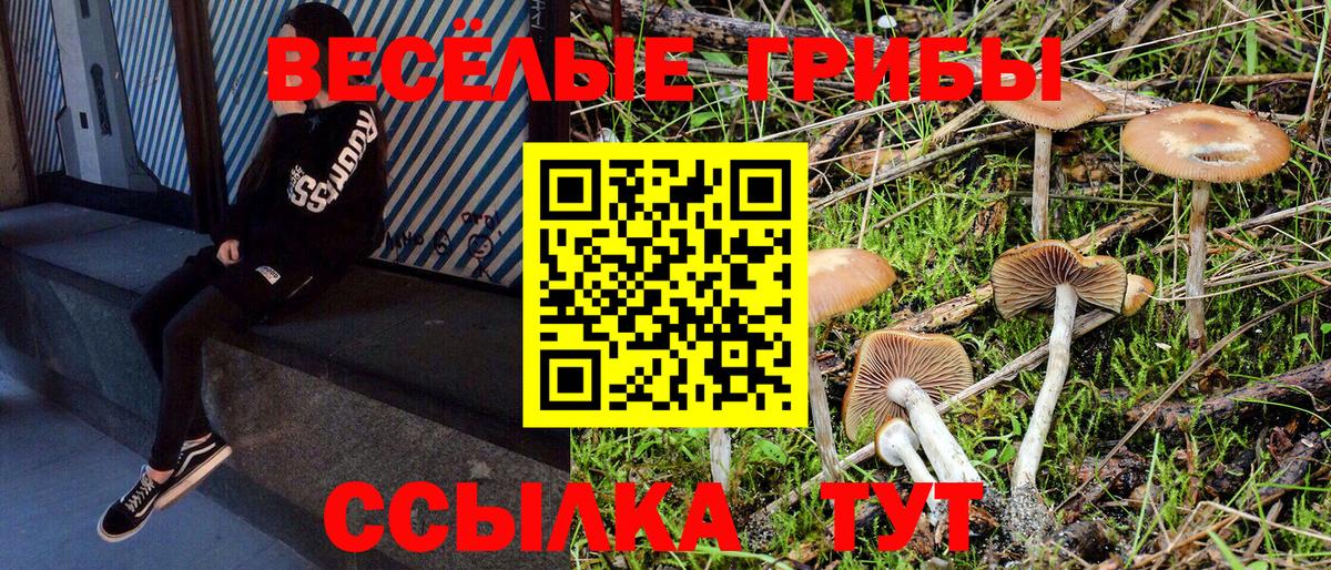 закладки  Псилоцибиновые грибы Psilocybine cubensis  Вход с VPN  Сыктывкар 
